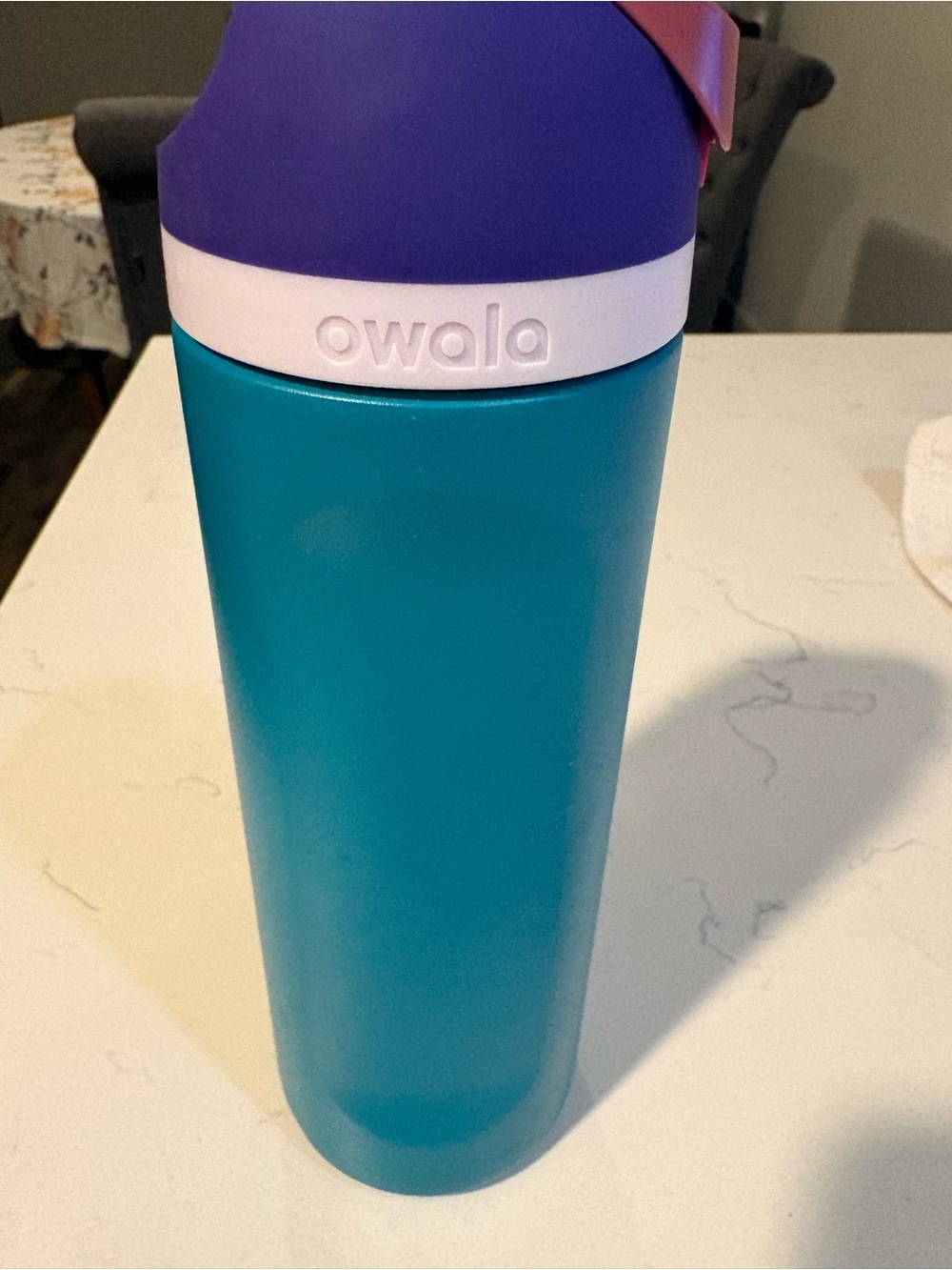Owalo Stainless Water Bottle in Teal with Purple Top